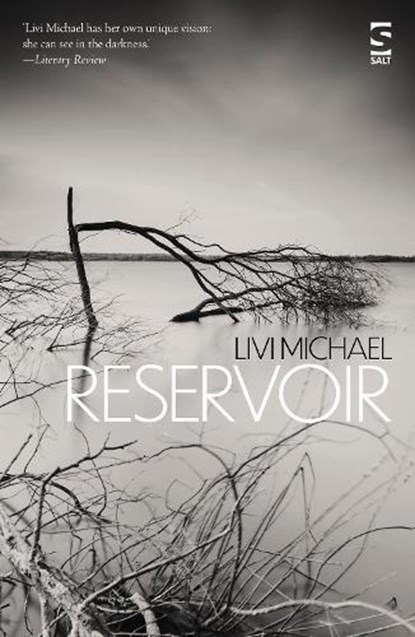 Reservoir, Livi Michael - Paperback - 9781784632908