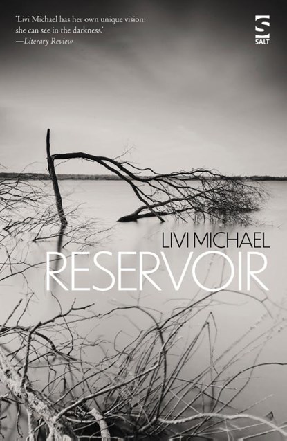Reservoir, Livi Michael - Paperback - 9781784632908