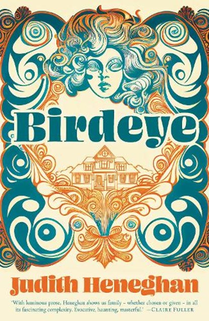 Birdeye, Judith Heneghan - Paperback - 9781784633264