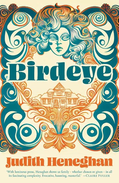 Birdeye, Judith Heneghan - Paperback - 9781784633264