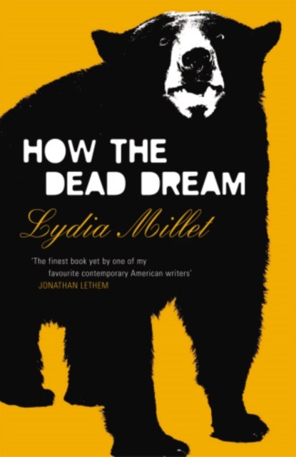 How the Dead Dream, Lydia Millet - Paperback - 9781784700638