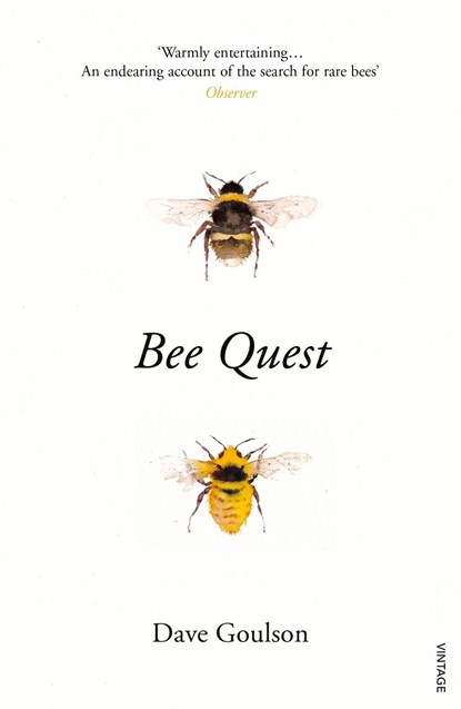 Bee Quest, Dave Goulson - Paperback - 9781784704803