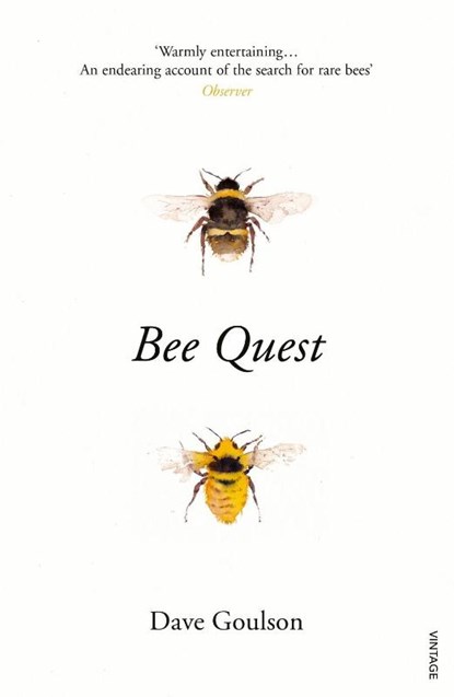 Bee Quest, Dave Goulson - Paperback - 9781784704803