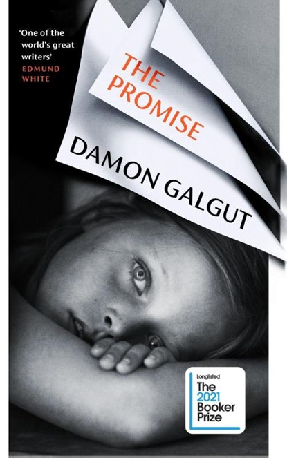 Promise, GALGUT,  Damon - Paperback - 9781784744076