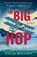 The Big Hop, David Rooney - Paperback - 9781784745097