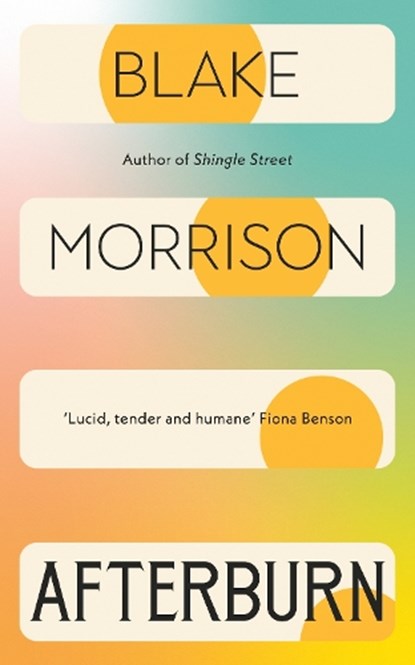 Afterburn, Blake Morrison - Paperback - 9781784746032