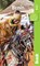 Benin, Stuart Butler - Paperback - 9781784770600