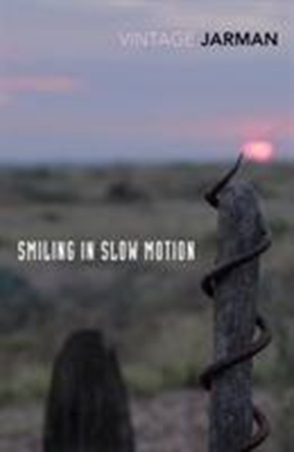 Smiling in Slow Motion, Derek Jarman - Paperback - 9781784875169