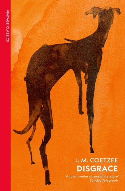 Disgrace, J.M. Coetzee - Paperback - 9781784879051