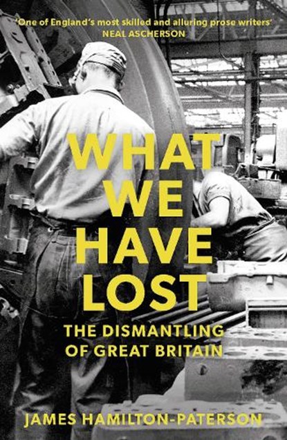 What We Have Lost, James Hamilton-Paterson - Paperback - 9781784972363