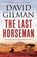 The Last Horseman, GILMAN,  David - Paperback - 9781784974565