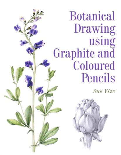 Botanical Drawing using Graphite and Coloured Pencils, Sue Vize - Paperback - 9781785001598