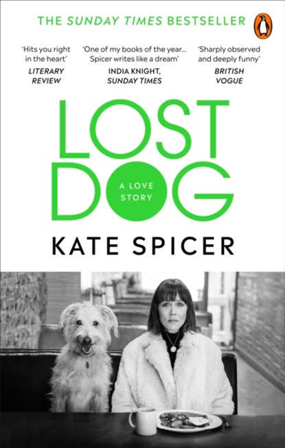 Lost Dog, Kate Spicer - Paperback - 9781785039201