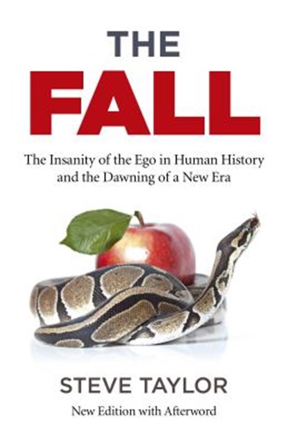 Fall, The (new edition with Afterword), Steve Taylor - Paperback - 9781785358043