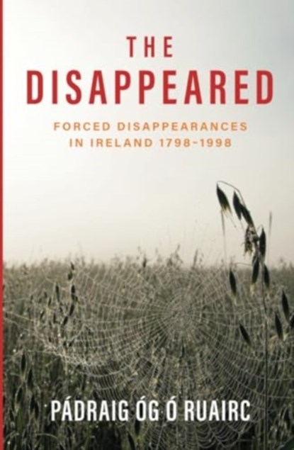 The Disappeared, Padraig Og O Ruairc - Paperback - 9781785375026