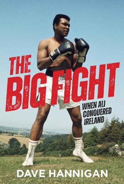 The Big Fight, Dave Hannigan - Paperback - 9781785375460