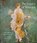 The Legacy of Vesuvius, Michael L. Thomas - Gebonden - 9781785515736