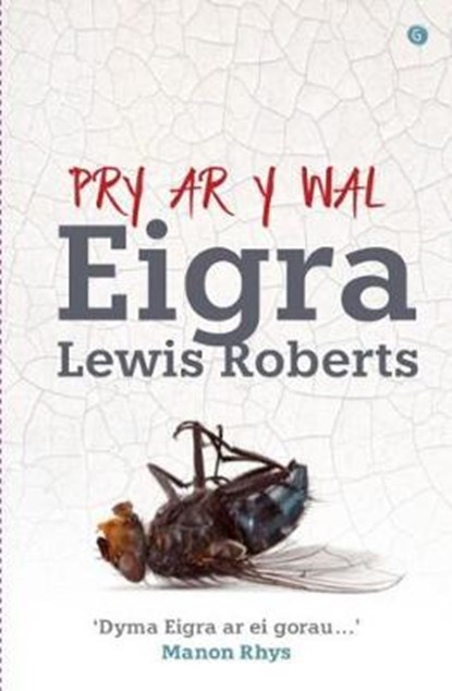 Pry ar y Wal, Eigra Lewis Roberts - Paperback - 9781785620898