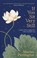If You Sit Very Still, Marian Partington - Paperback - 9781785921407