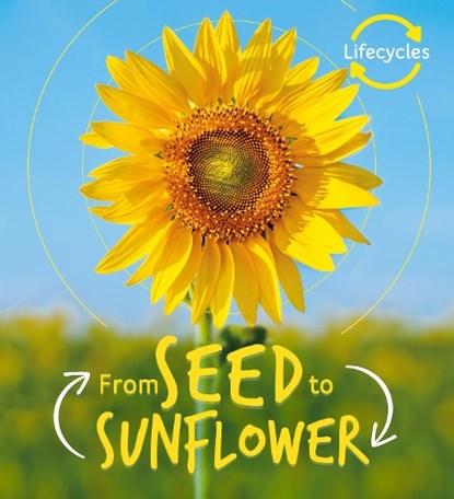 Lifecycles: Seed to Sunflower, Camilla de la Bedoyere - Paperback - 9781786036209