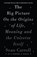 The Big Picture, Sean Carroll - Paperback - 9781786071033