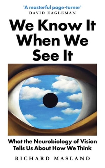 We Know It When We See It, Richard Masland - Ebook - 9781786078179