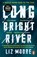 Long Bright River, Liz Moore - Paperback - 9781786090614