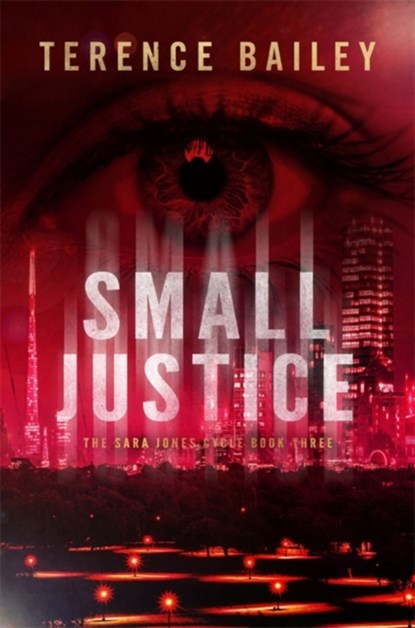 Small Justice, Terence Bailey - Paperback - 9781786153814