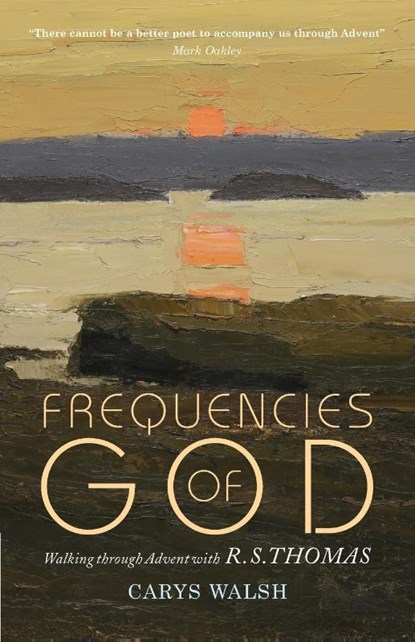 Frequencies of God, Carys Walsh - Paperback - 9781786220882