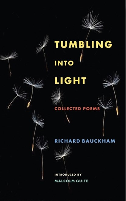 Tumbling Into Light, BAUCKHAM,  Richard - Paperback - 9781786224361