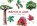 Match a Leaf: A Tree Memory Game, Tony Kirkham - Gebonden - 9781786272287