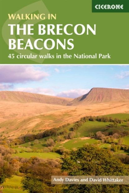 Walking in the Brecon Beacons, Andy Davies ; David Whittaker - Paperback - 9781786310897