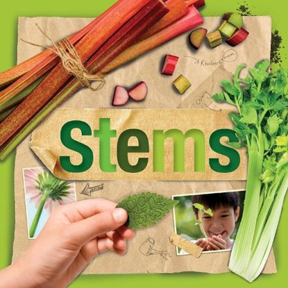 Plant Parts: Stems, Steffi Cavell-Clarke - Gebonden - 9781786371515