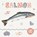 Salmon, Holly Duhig - Gebonden - 9781786372383