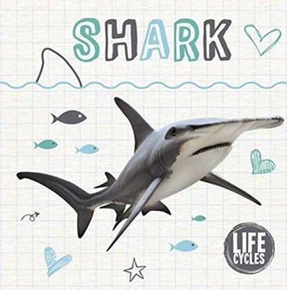 Life Cycle of a Shark, Kirsty Holmes - Gebonden - 9781786372857