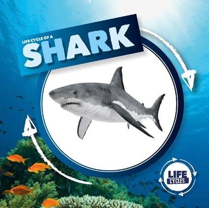 Life Cycle of a Shark, Kirsty Holmes - Gebonden - 9781786372857