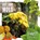 Rot & Mould, Robin Twiddy - Gebonden - 9781786374790
