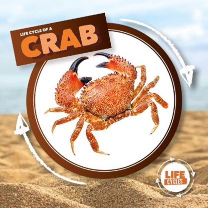 Crab, Kirsty Holmes - Gebonden - 9781786379344