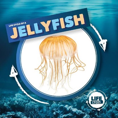 Jellyfish, Kirsty Holmes - Gebonden - 9781786379351