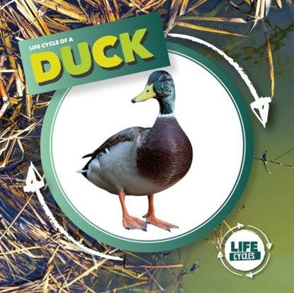 Duck, Kirsty Holmes - Gebonden - 9781786379399