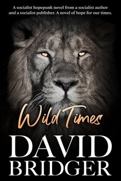 Wild Times, David Bridger - Ebook - 9781786454898