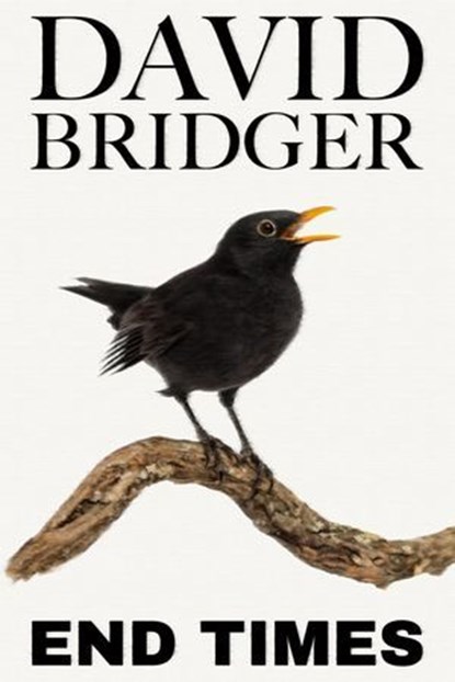 End Times, David Bridger - Ebook - 9781786455710