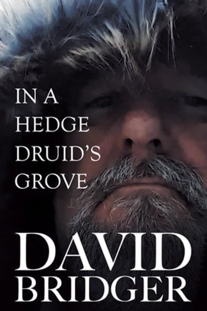 In a Hedge Druid's Grove, David Bridger - Ebook - 9781786455888