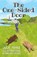 The One-Sided Door, Julie Pryke - Paperback - 9781786456557