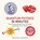 Quantum Physics in Minutes, Gemma Lavender - Paperback - 9781786481214