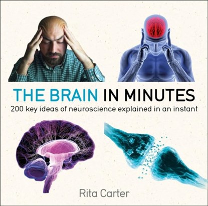 The Brain in Minutes, Rita Carter - Paperback - 9781786485793
