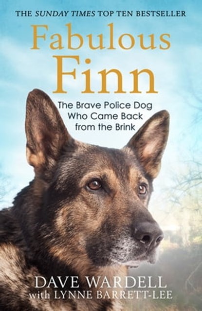Fabulous Finn, Dave Wardell - Ebook - 9781786489081
