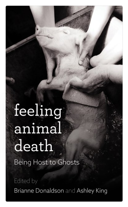 Feeling Animal Death, Brianne Donaldson - Gebonden - 9781786611147