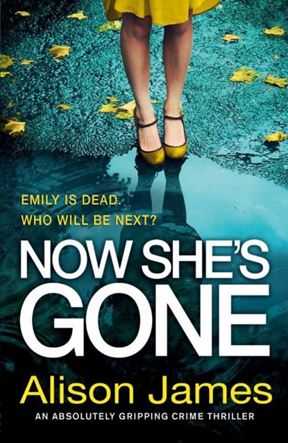 Now She's Gone, Alison James - Paperback - 9781786814142