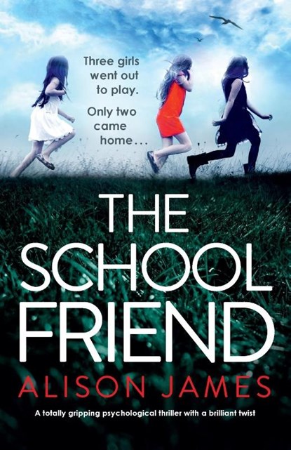 The School Friend, Alison James - Paperback - 9781786819550
